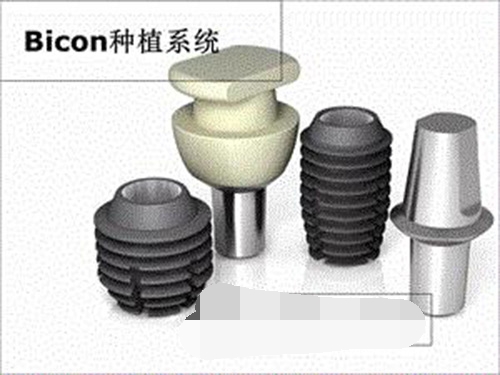 美国百康植体示意图